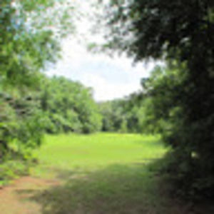 Meet your Posher, Lorraine